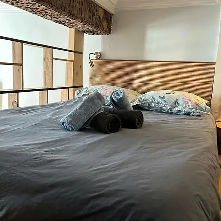 Apartment T1bis-cosy-place Salengro-metro