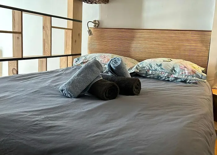 شقة T1bis-cosy-place Salengro-metro